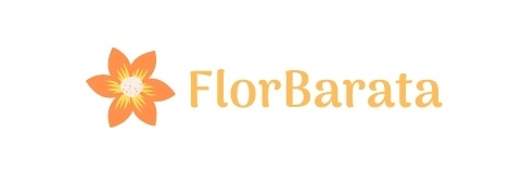 FlorBarata Coupons