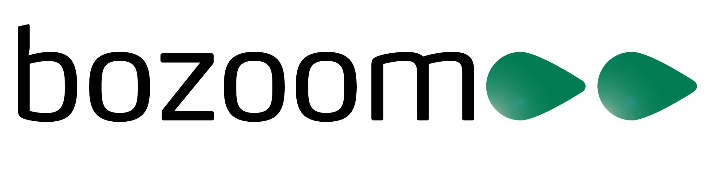 Bozoom